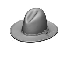 Load image into Gallery viewer, Regular hat