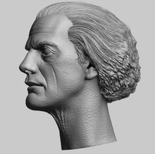 Load image into Gallery viewer, Doc Sculpted Hair 1/6 Head Sculpt