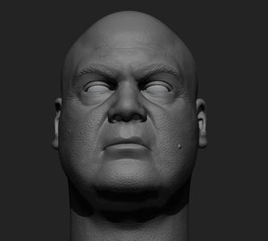 Fisk 3.0 1/6 Head Sculpt