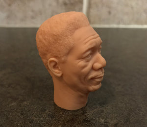 TDK Fox 1/6 Head Sculpt
