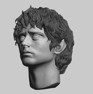 "Ring Bearer" Sculpted Hair 1/6 Head Sculpt