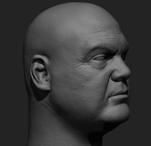 Fisk 3.0 1/6 Head Sculpt